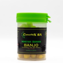 Banjo5
