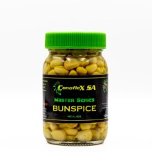 Bunspice1