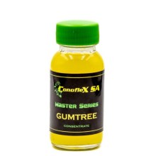 Gumtree