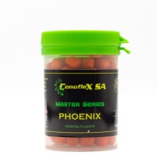 Phoenix8